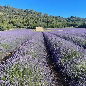 Appartement Coeur De Provence, Gréoux-les-Bains